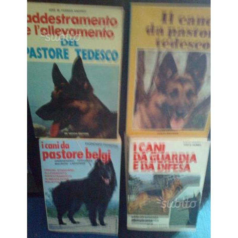 Libri cani